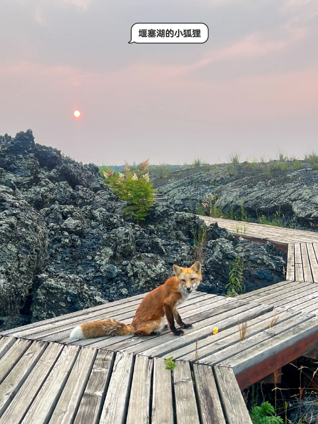 五大连池8️⃣个景区怎么选❓一篇说清楚