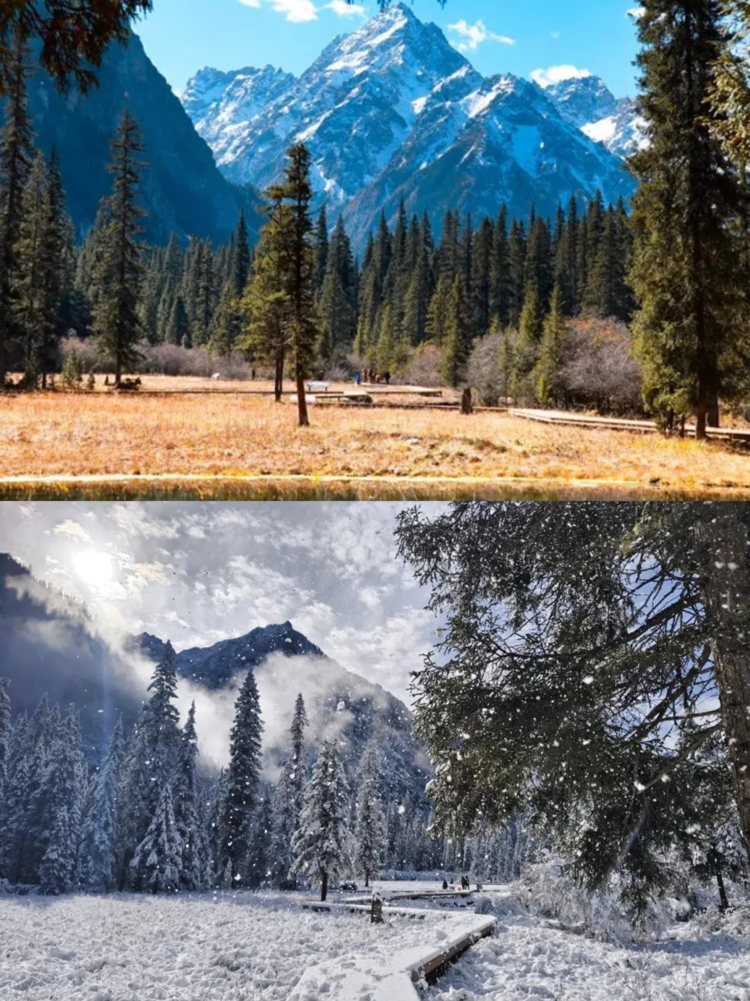 哭死😭去平武王朗一定要看的路线！(更全更新