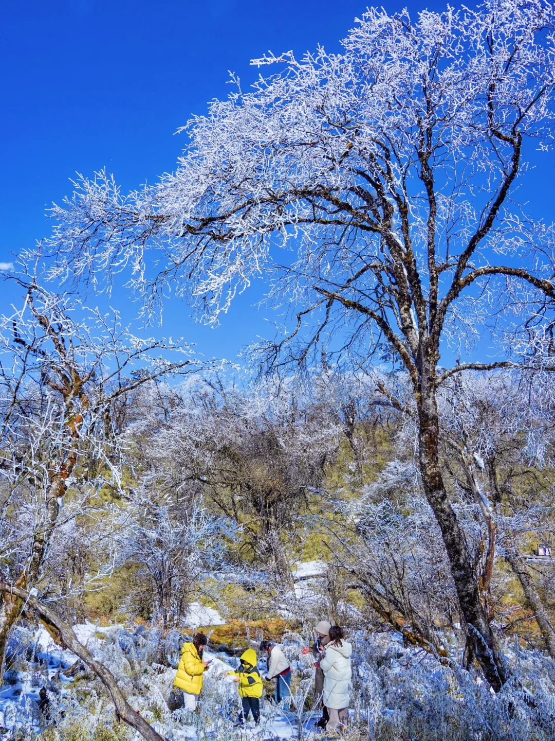 以为川西已经很美了，直到我来了这里……