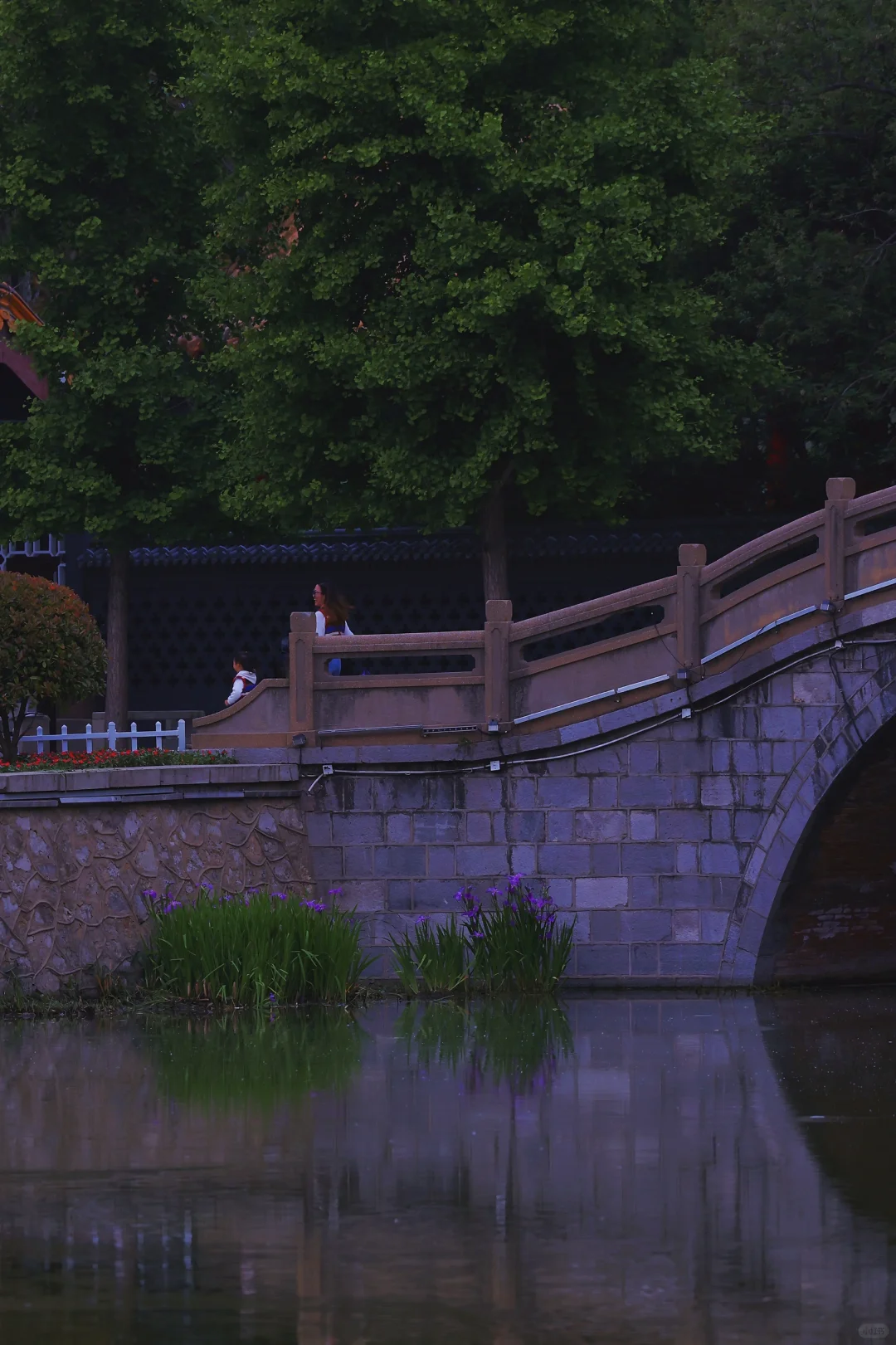郑州出发｜带娃周末出游（3/20)📍邯郸太绝了