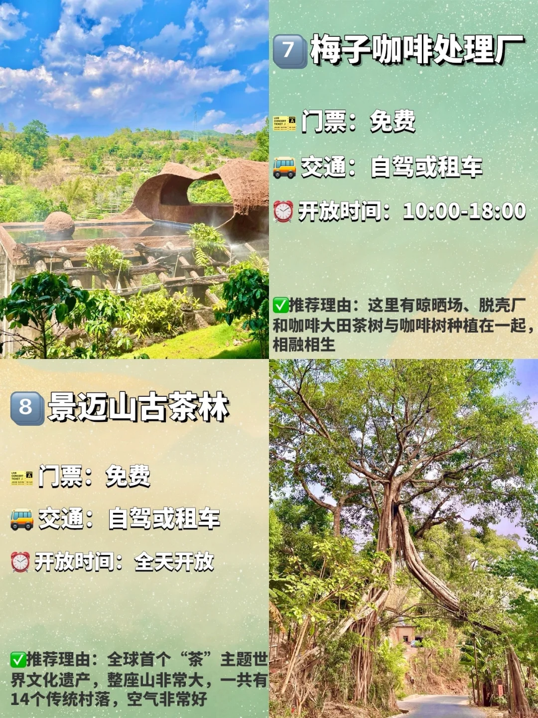 普洱必去的九大景点❗️❗️旅游前必看❗️