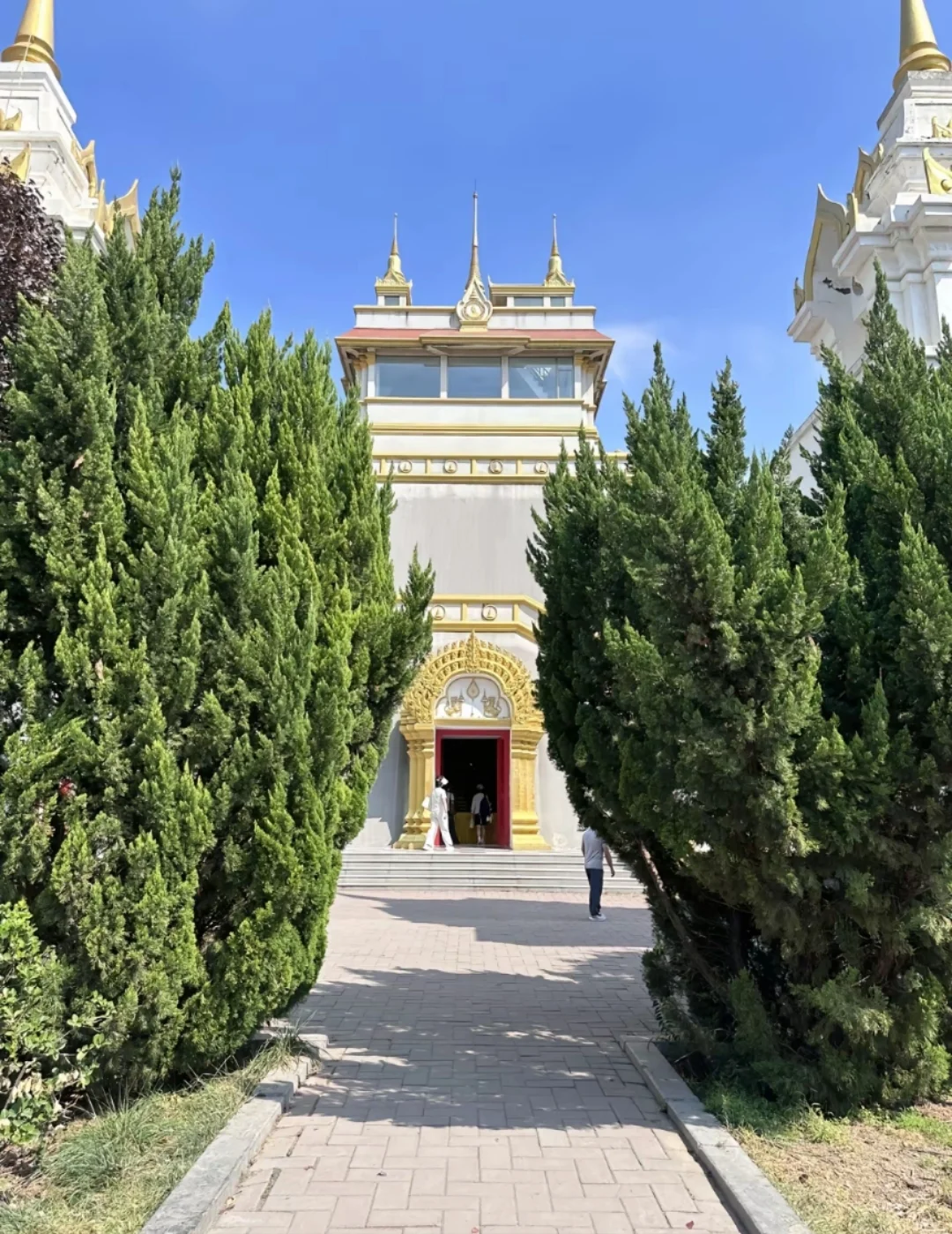 邯郸到洛阳自由行，来回车，住宿包了！