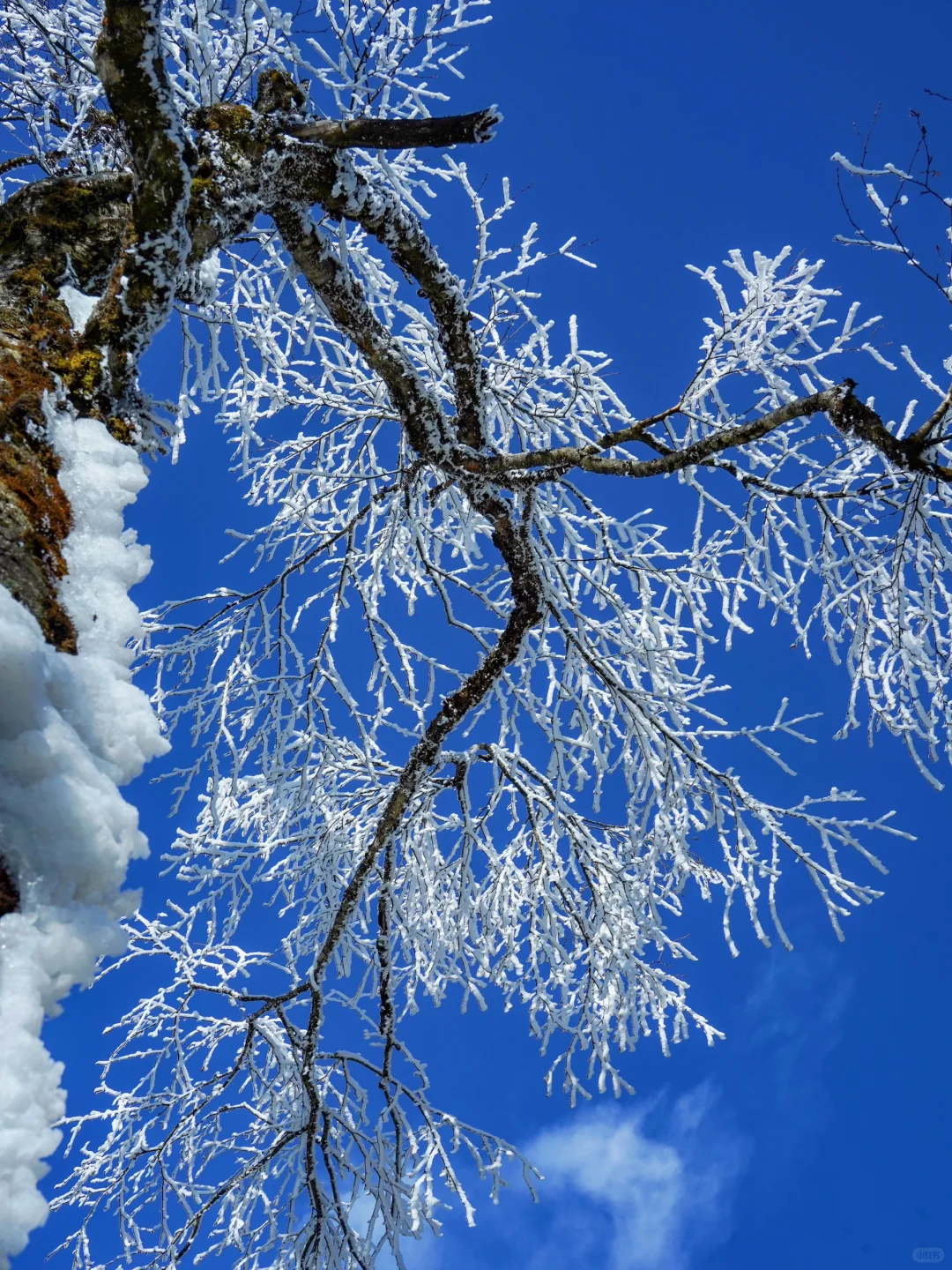 以为川西已经很美了，直到我来了这里……