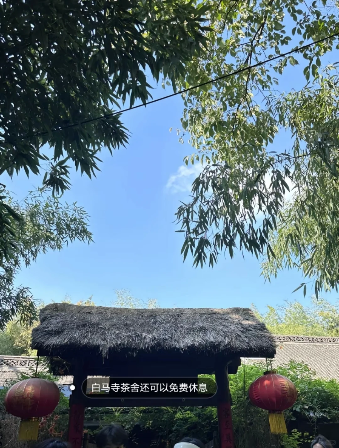 邯郸到洛阳自由行，来回车，住宿包了！