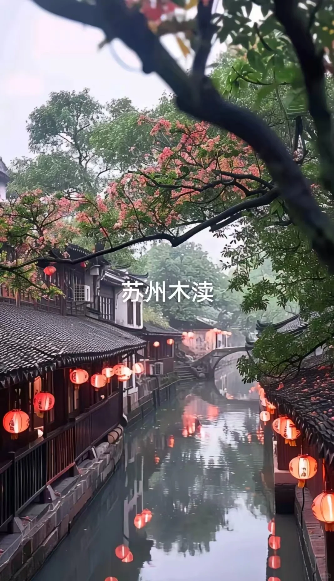 邯郸到南京苏州无锡杭州上海乌镇西湖