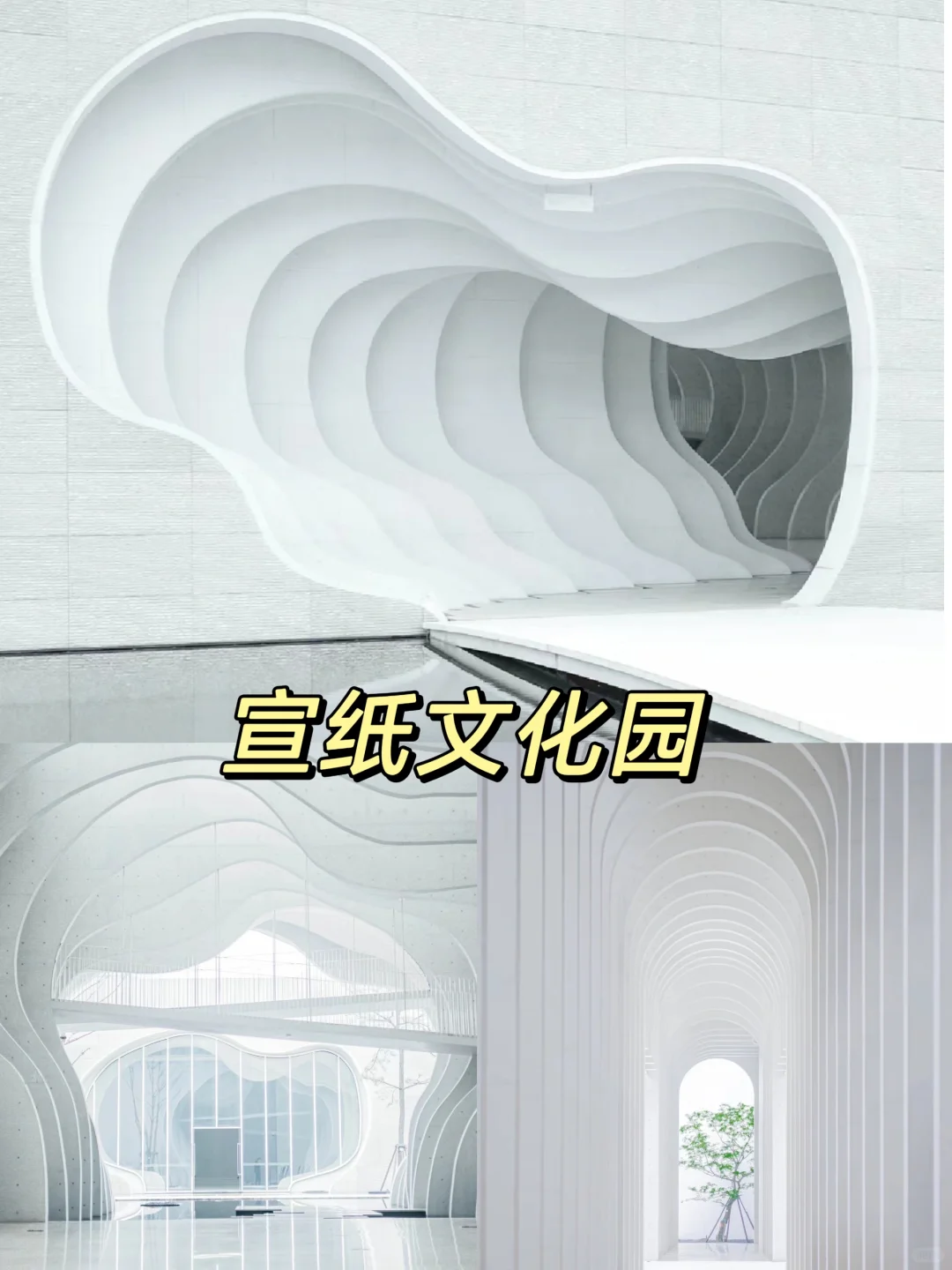 宣城本地人告诉你‼️皖南必去15大景点