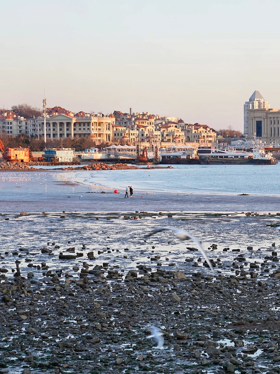 青岛冬日旅游攻略来啦！
