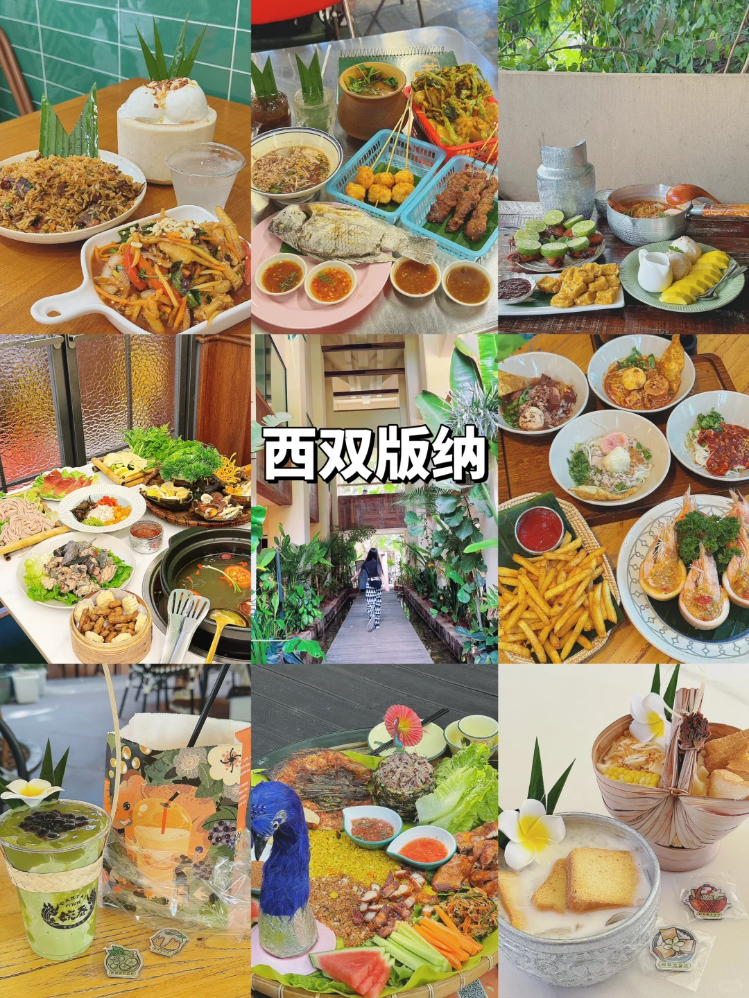 西双版纳➕普洱5天4晚懒人攻略！