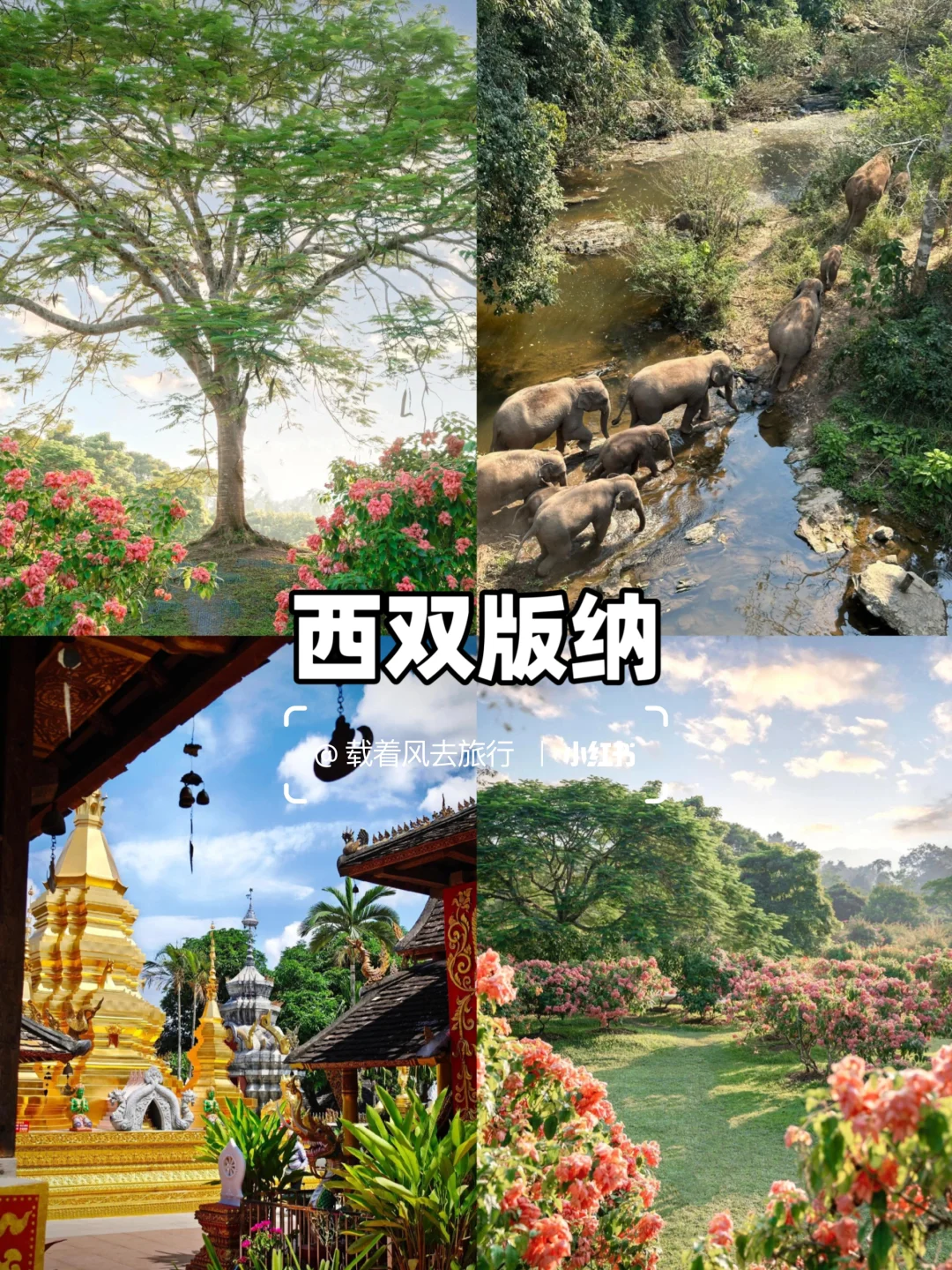 适合冬天去的5个南方城市