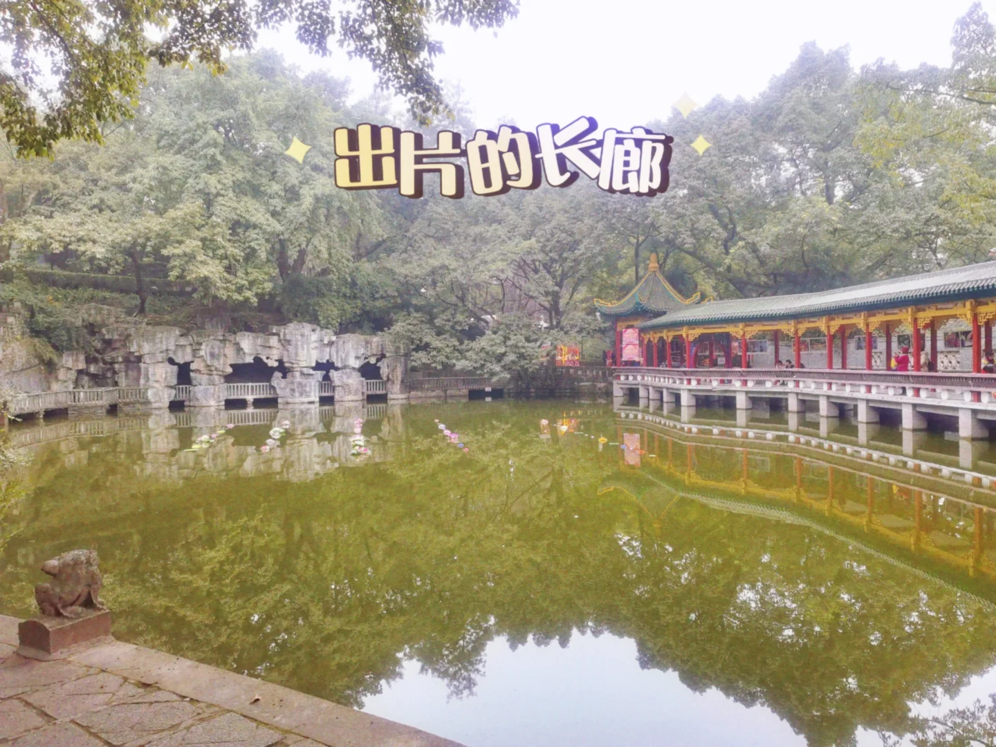 重庆｜鹅岭公园-超全旅游攻略🔥