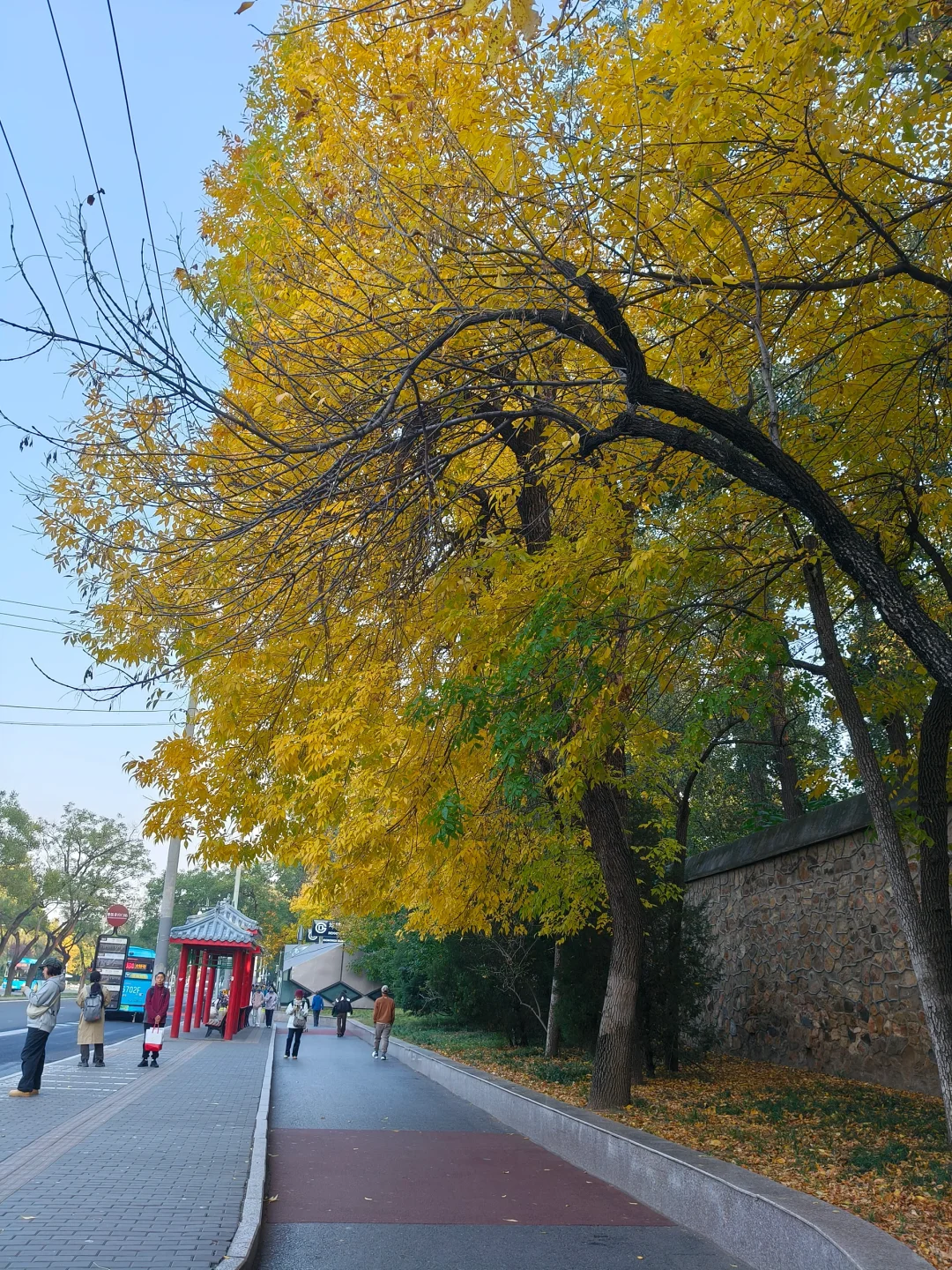 第一次和爸媽一起在大陸旅遊