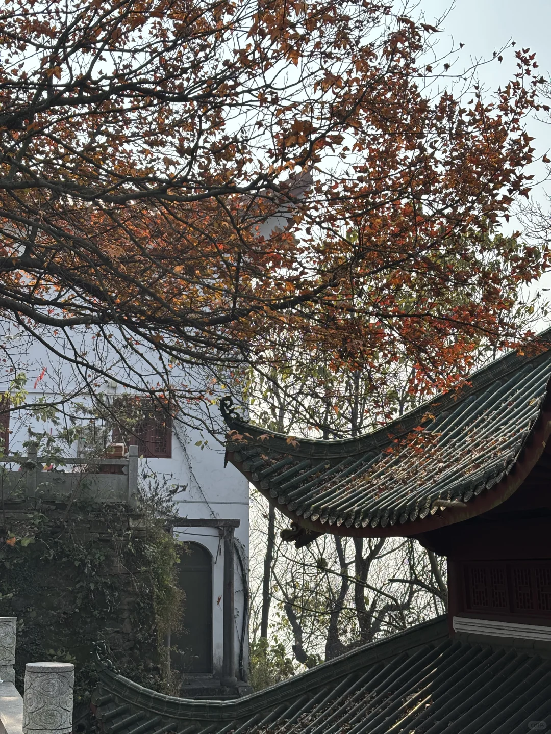 淡季去郴州真的很香！三天两晚旅游攻略