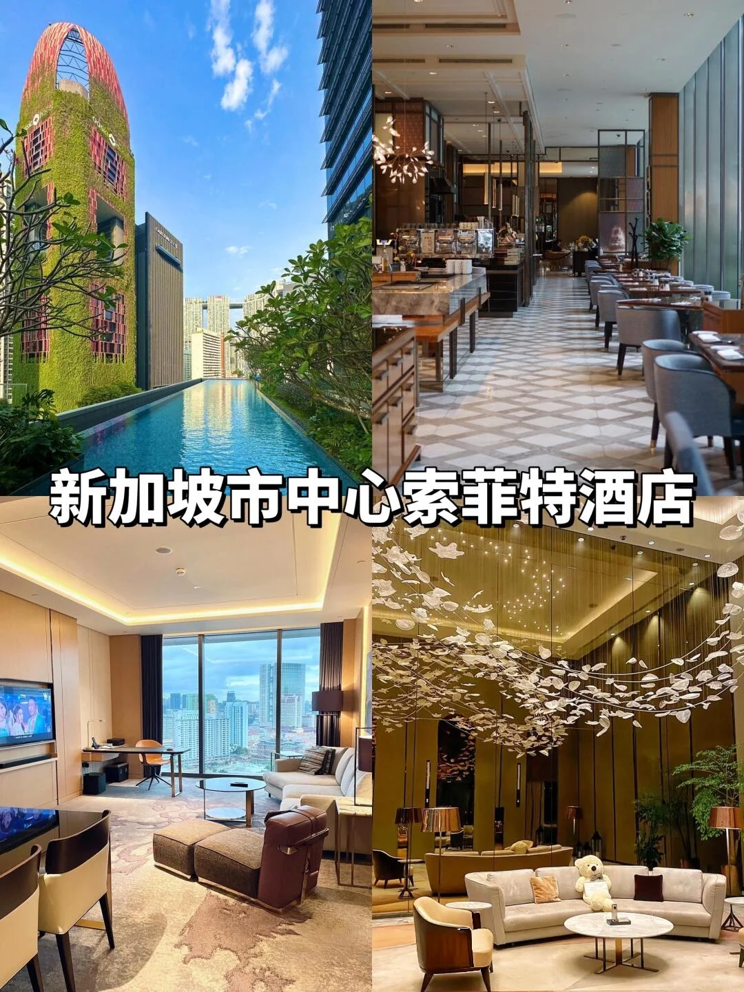 直接抄作业❗去了8次的✨新加坡旅游攻略