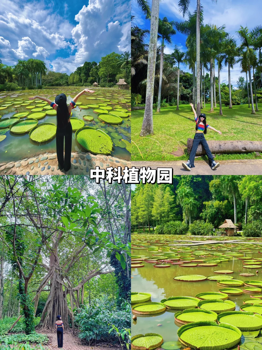 西双版纳➕普洱5天4晚懒人攻略！