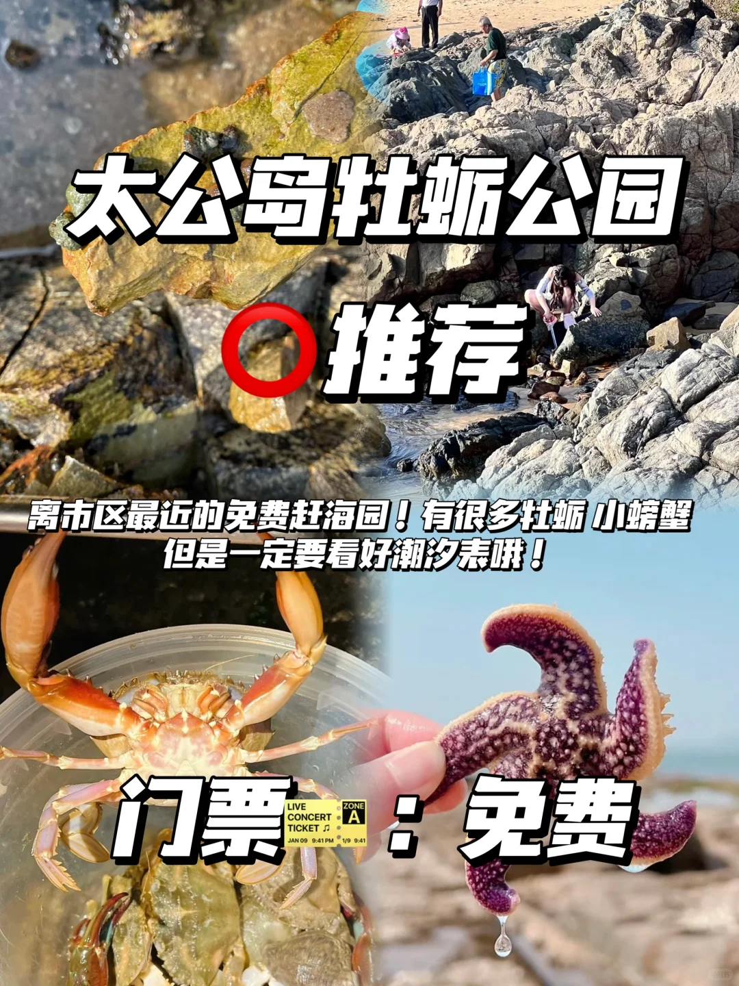 愿每个去日照的人都能看到…