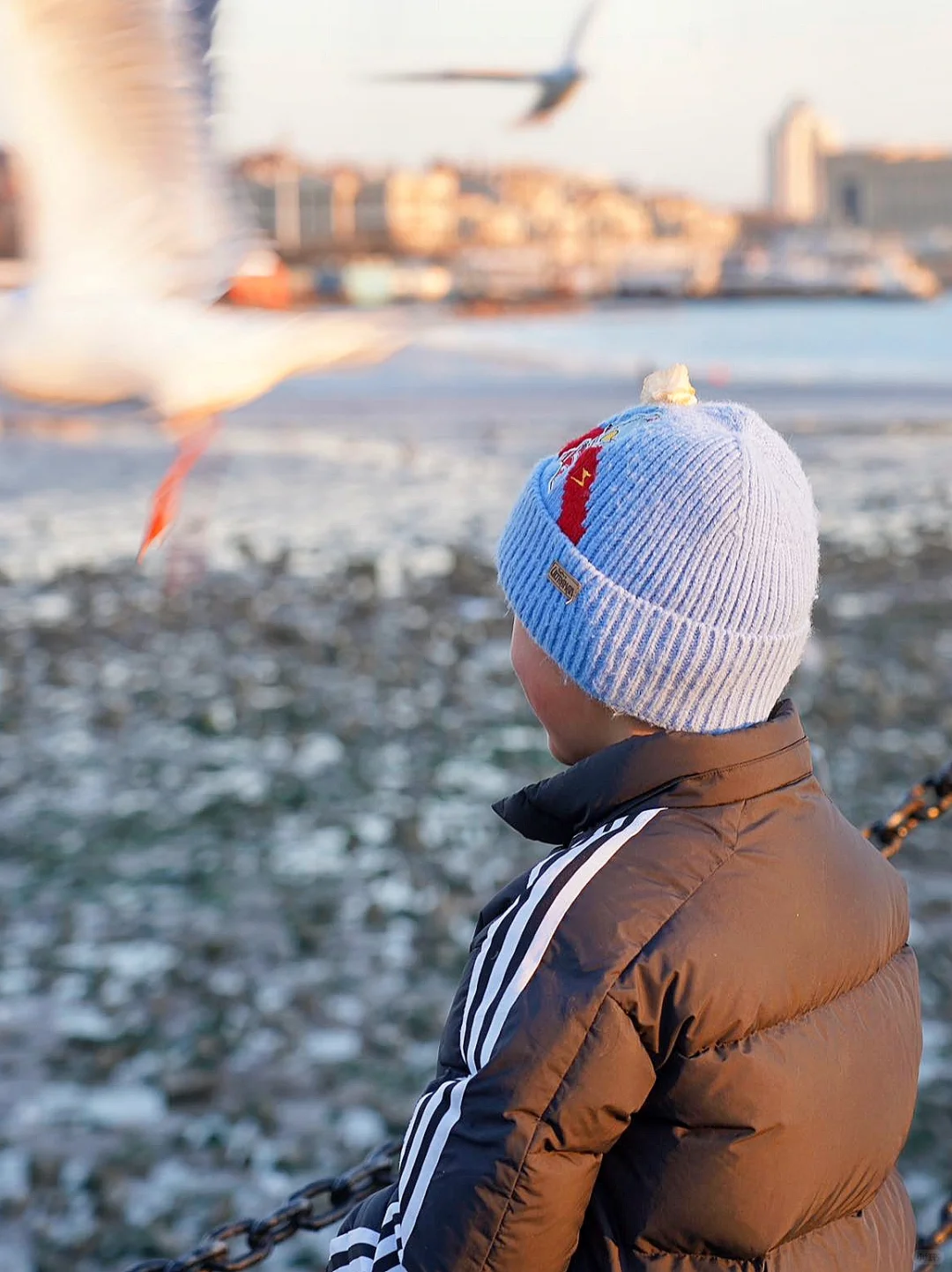 青岛冬日旅游攻略来啦！