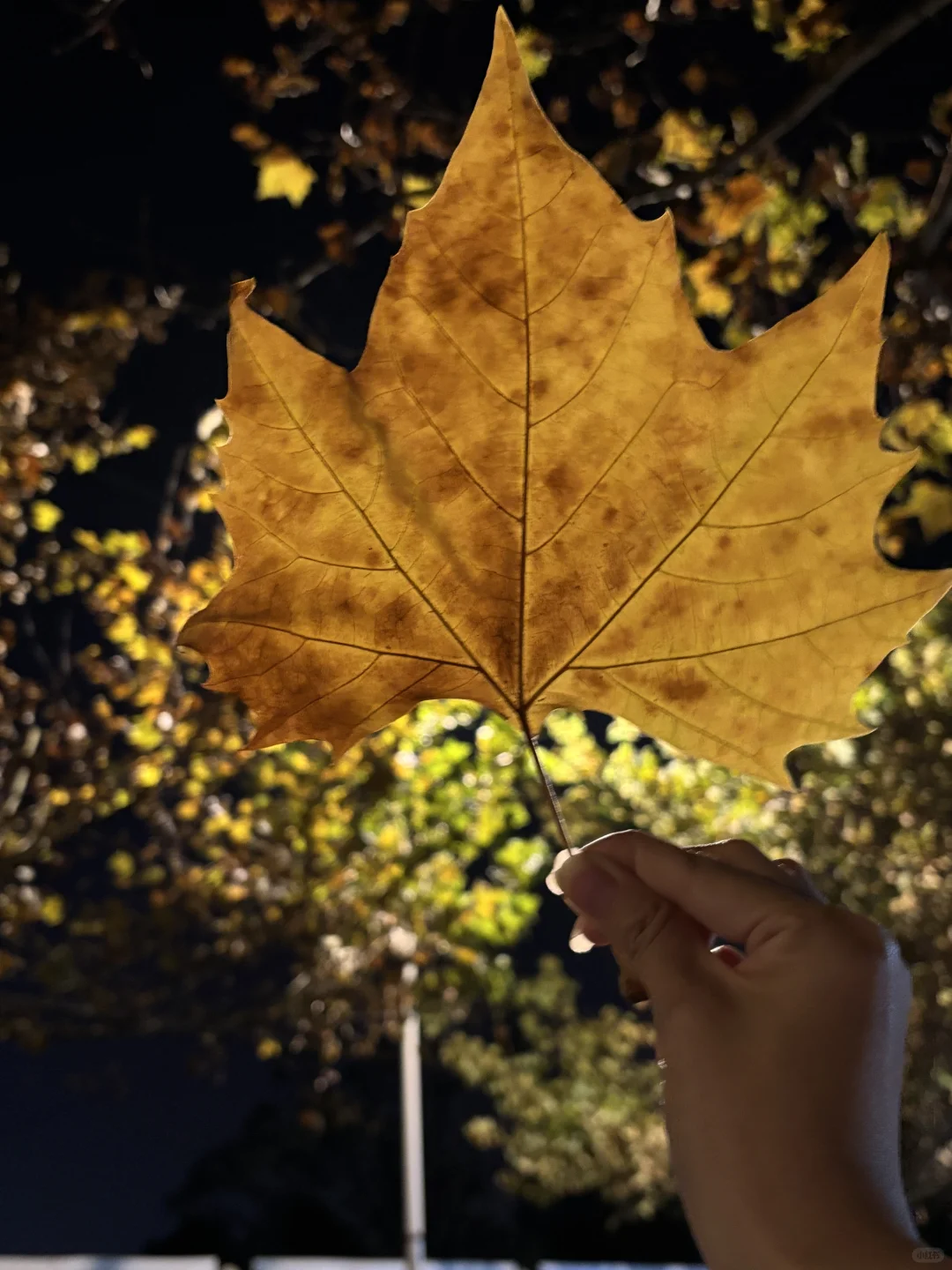淡季去郴州真的很香！三天两晚旅游攻略