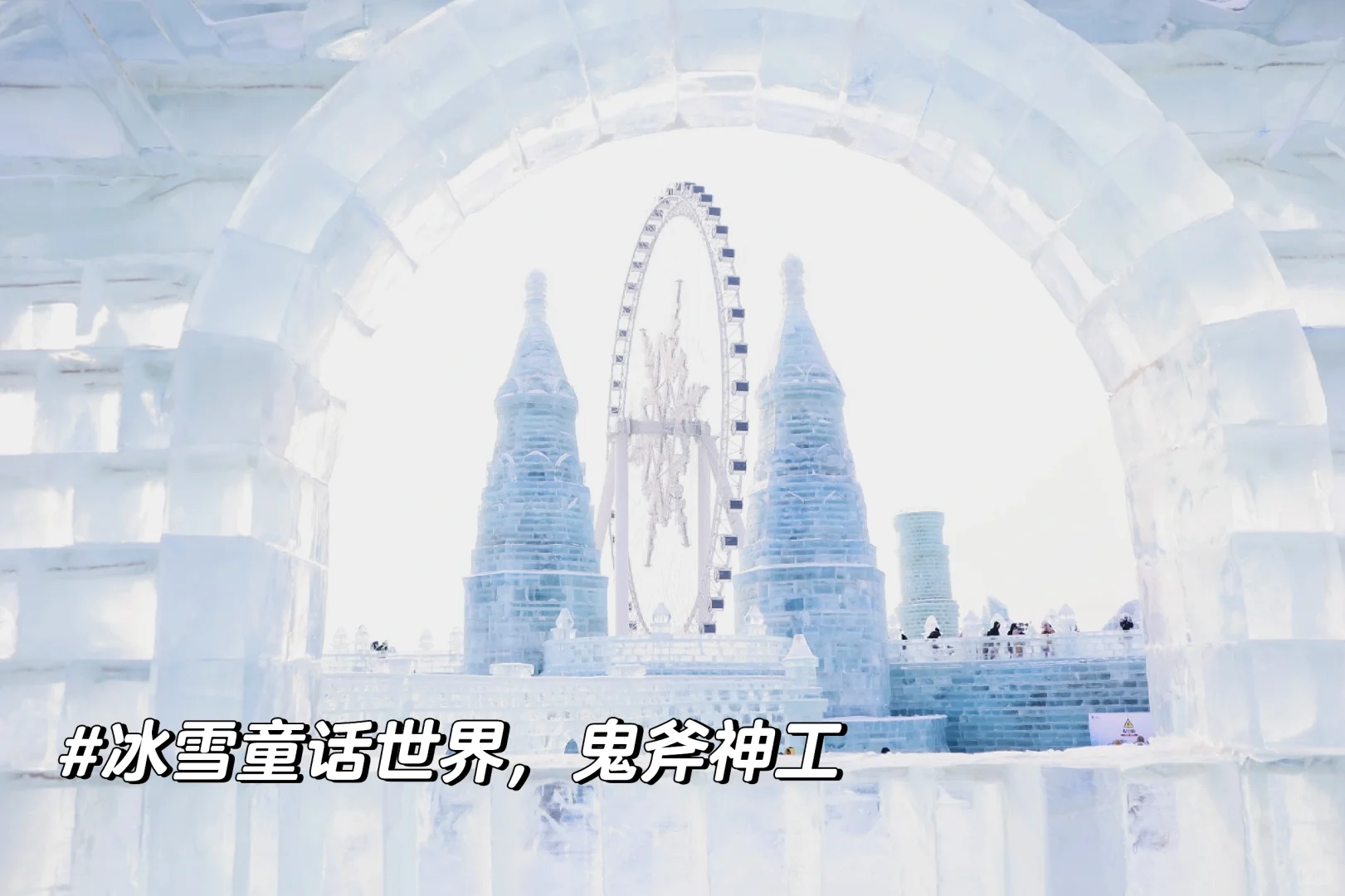 让我来看看各位老师寒假旅游都去了哪里？