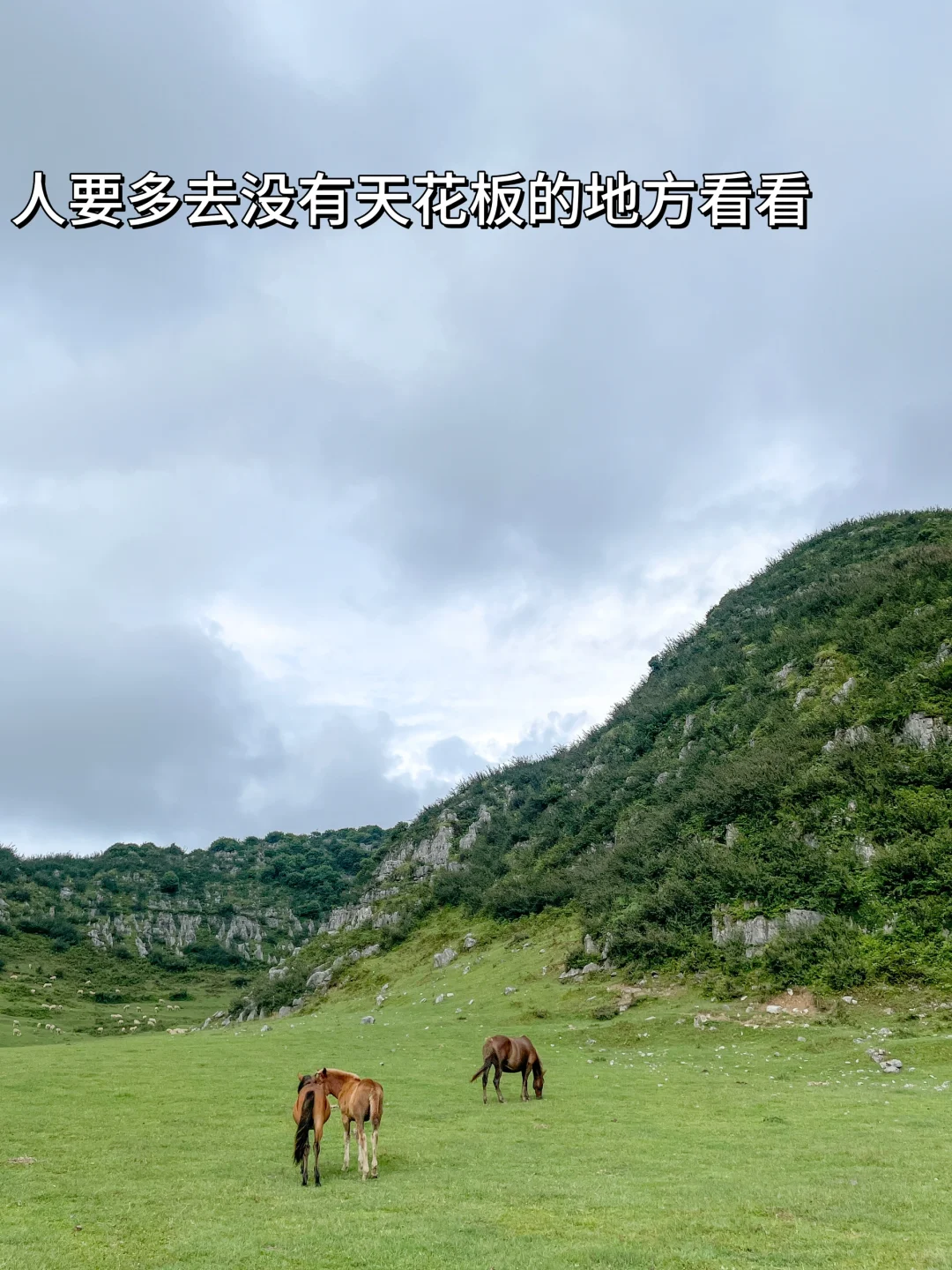 人为什么要旅行，这是我见过最棒的答案👏