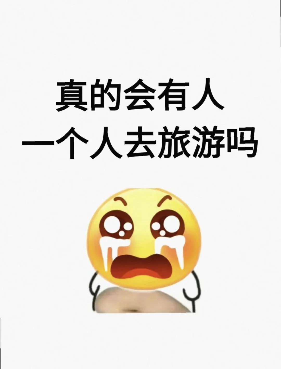 真的会有人一个人去旅游吗