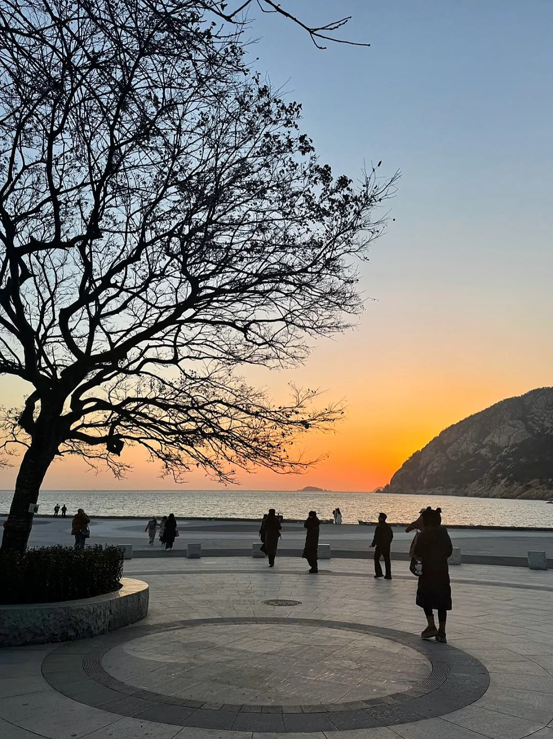 青岛冬日旅游攻略来啦！