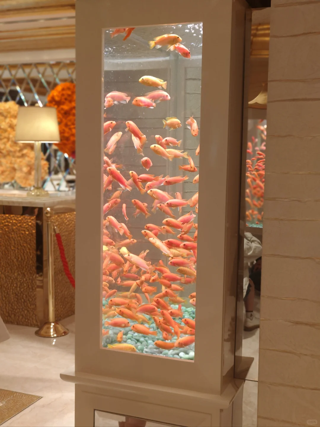 已验证!!可行性非常高