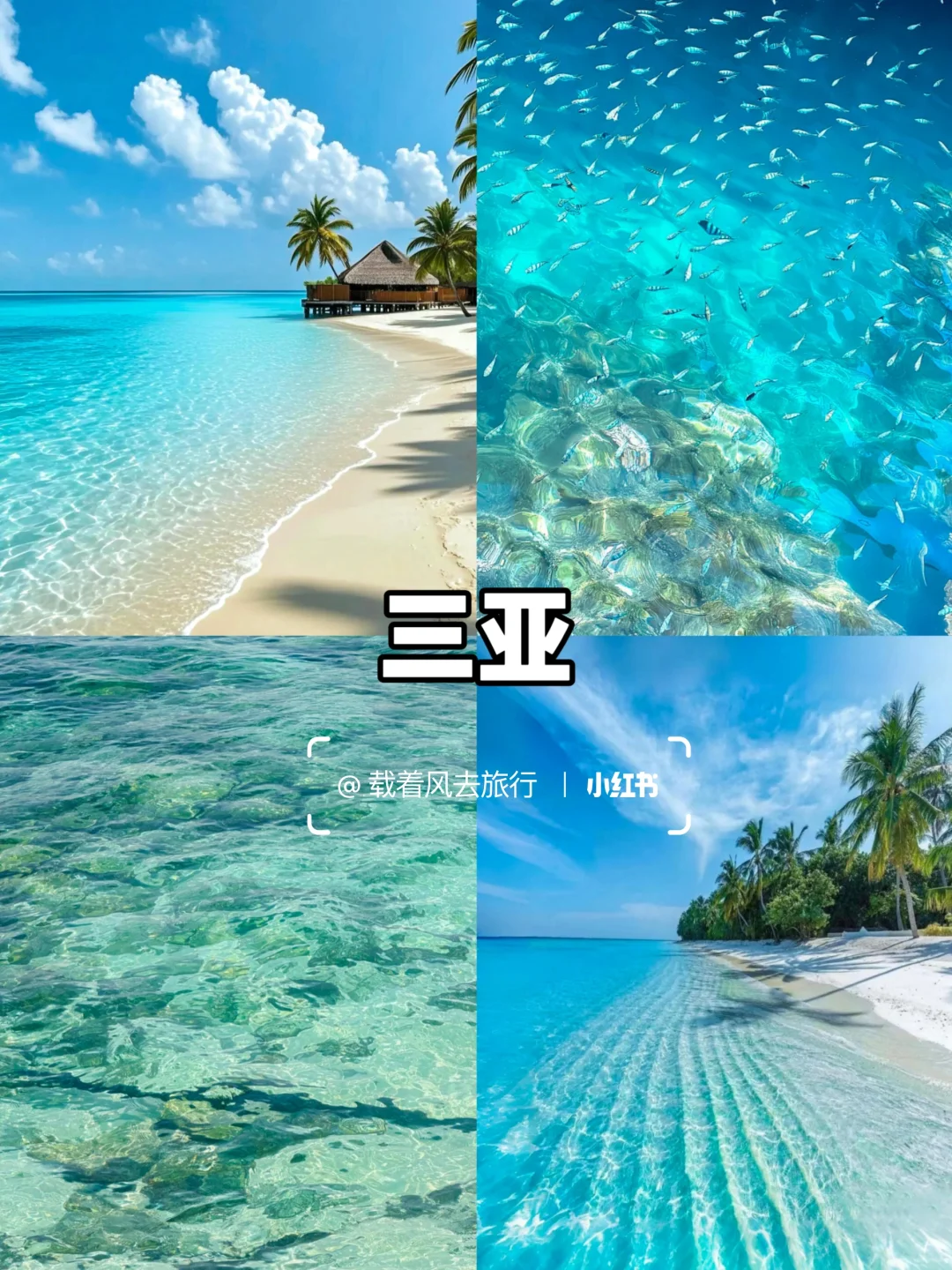 适合冬天去的5个南方城市