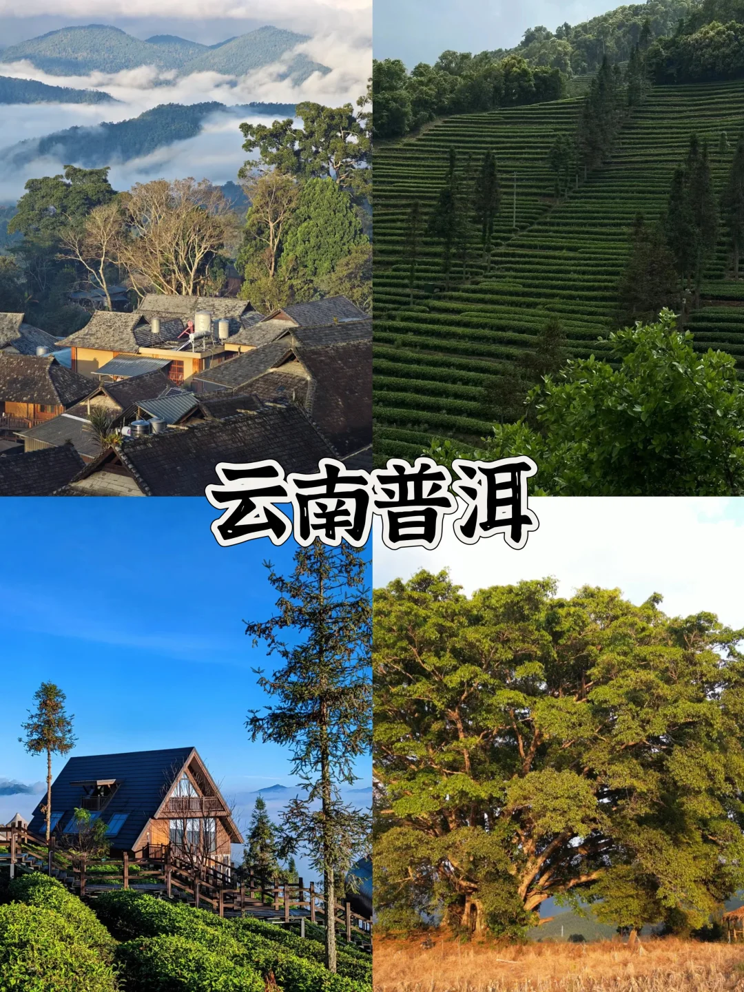🔥春节过年不回家，适合旅游的10个城市推荐