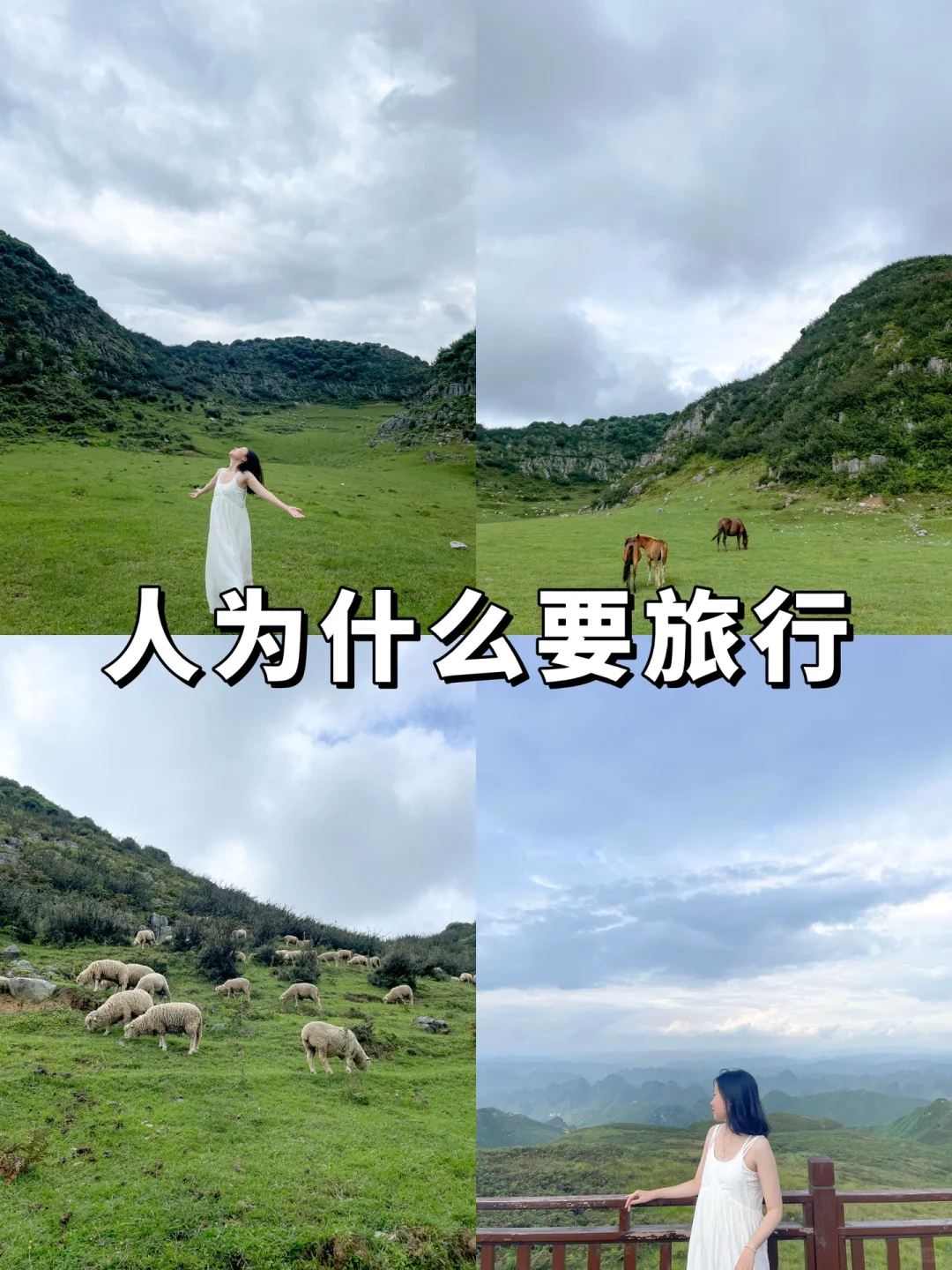 人为什么要旅行，这是我见过最棒的答案👏