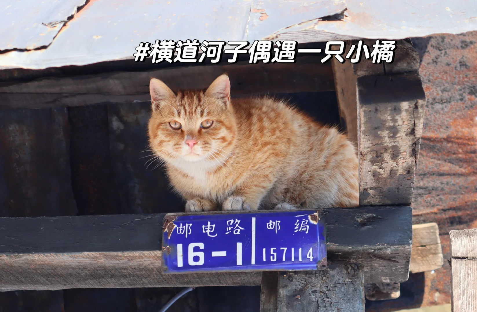 让我来看看各位老师寒假旅游都去了哪里？