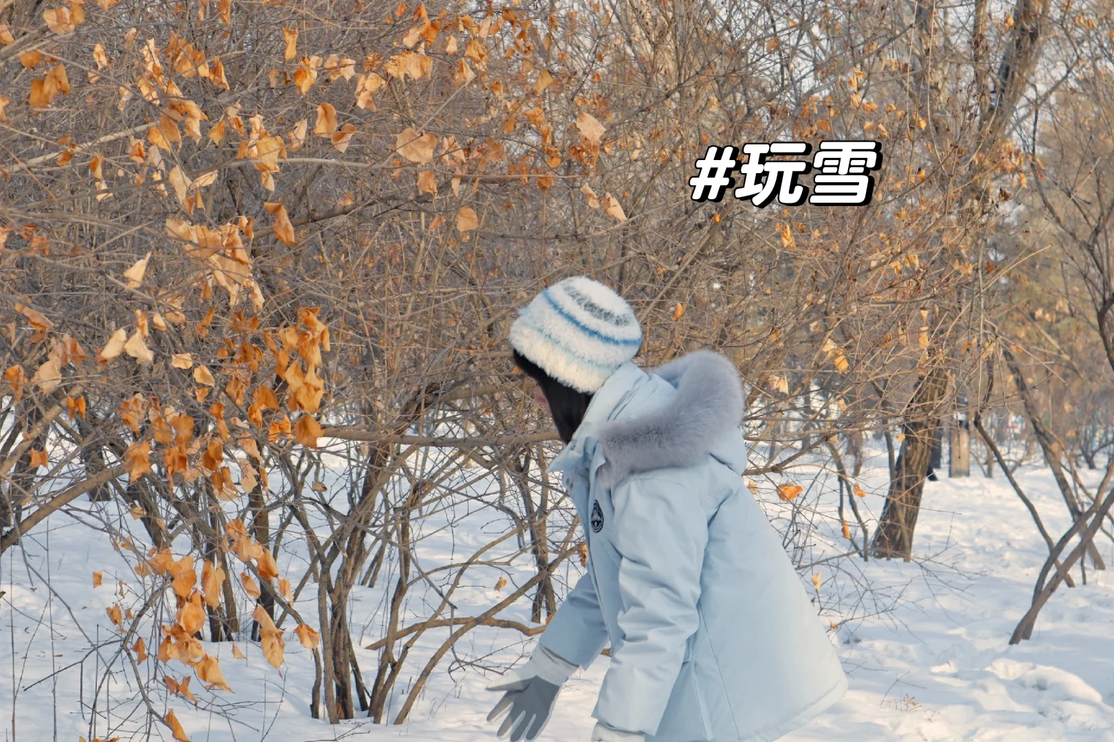 让我来看看各位老师寒假旅游都去了哪里？