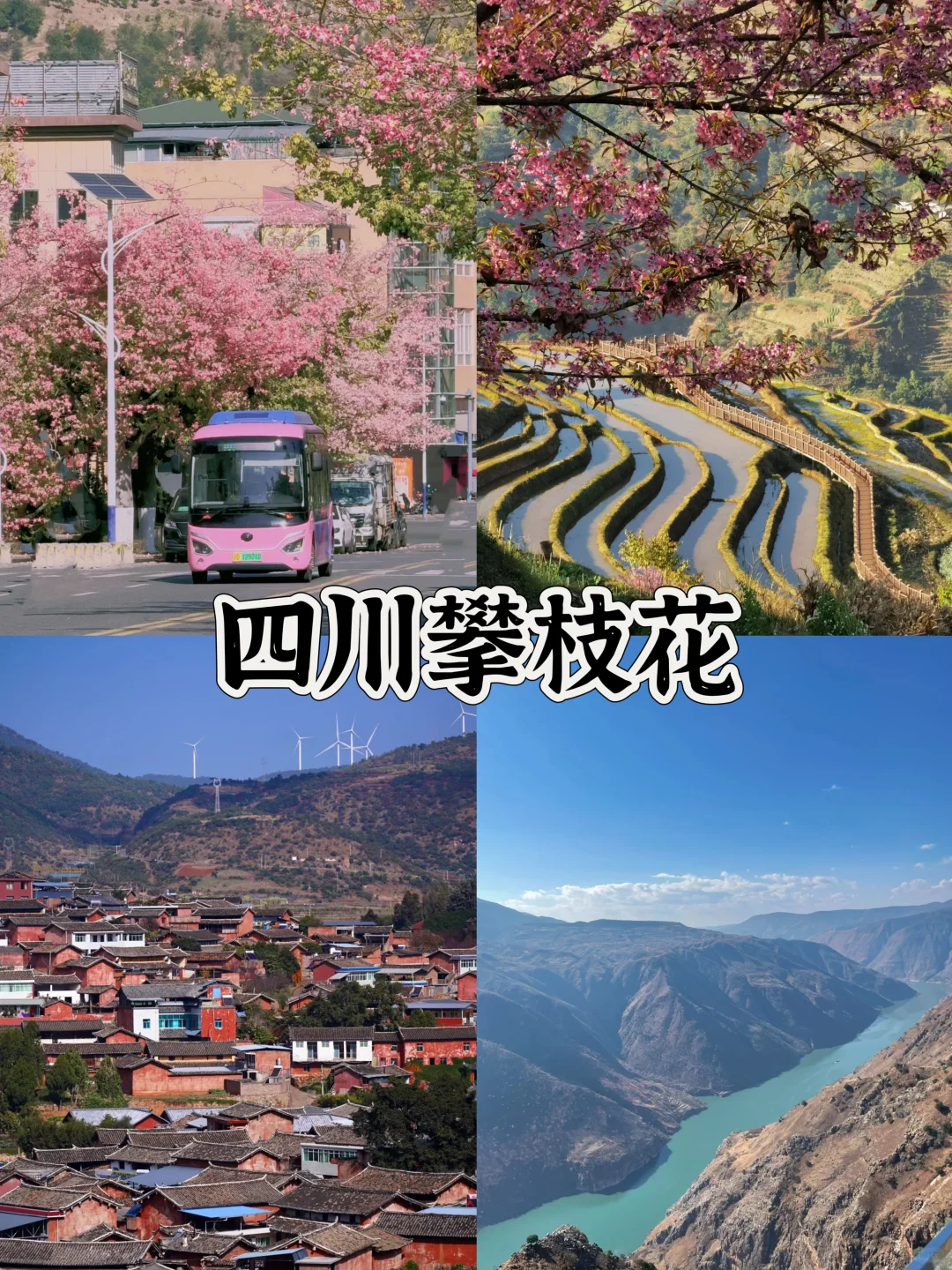 🔥春节过年不回家，适合旅游的10个城市推荐