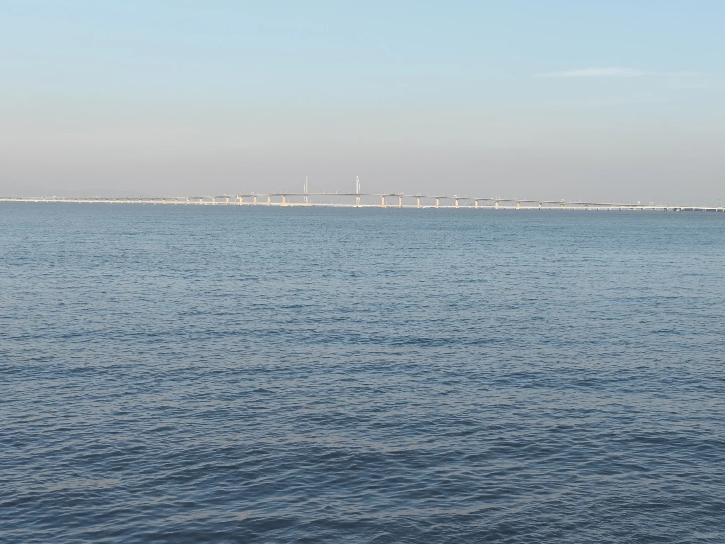 已验证!!可行性非常高