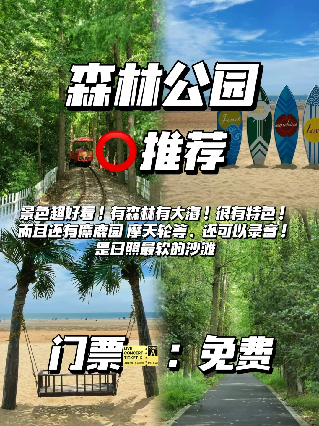 愿每个去日照的人都能看到…