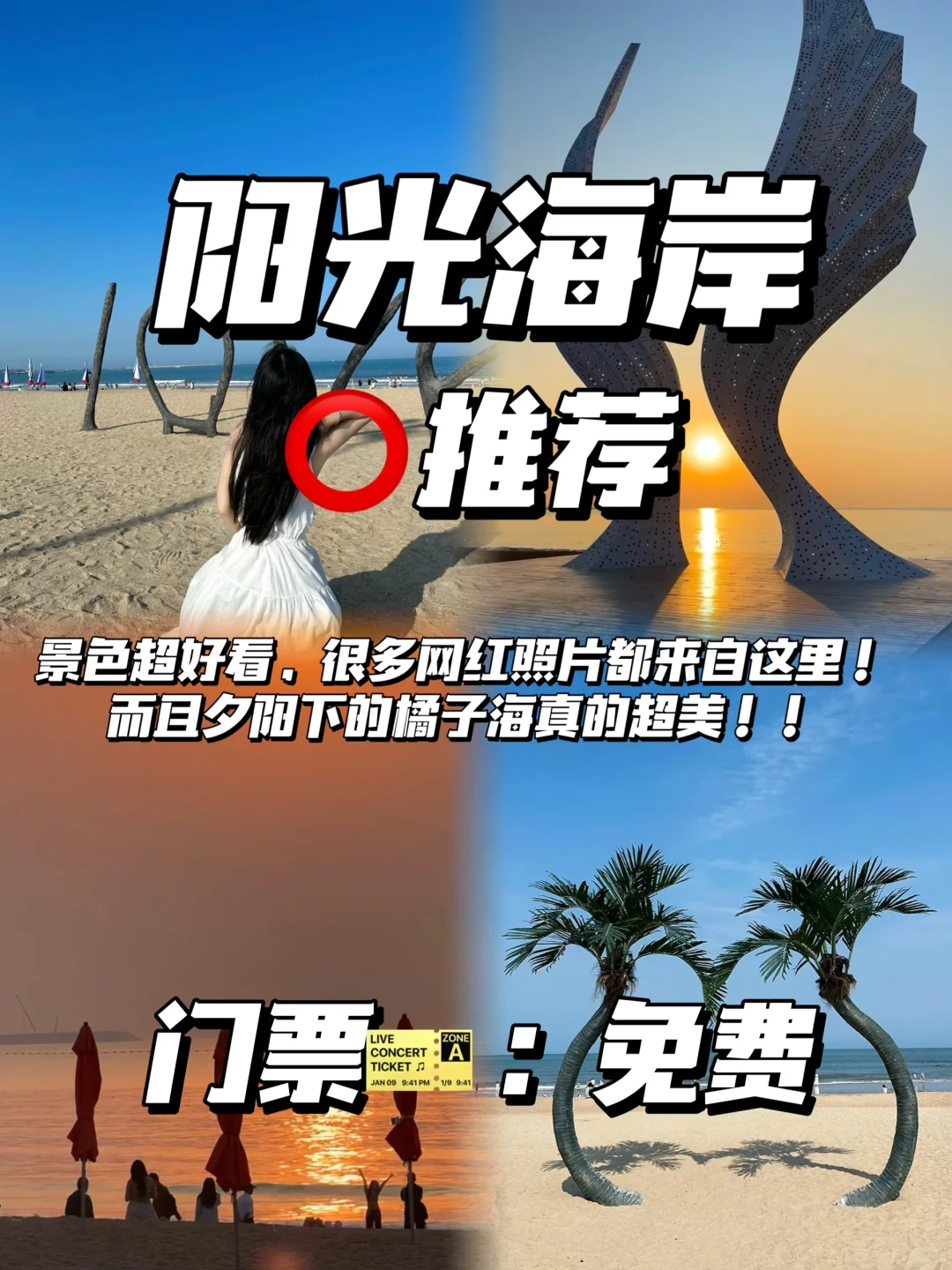 愿每个去日照的人都能看到…