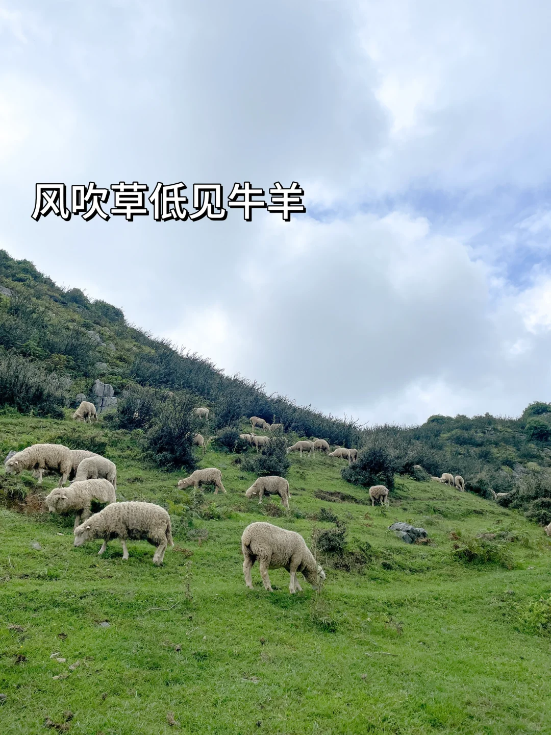 人为什么要旅行，这是我见过最棒的答案👏