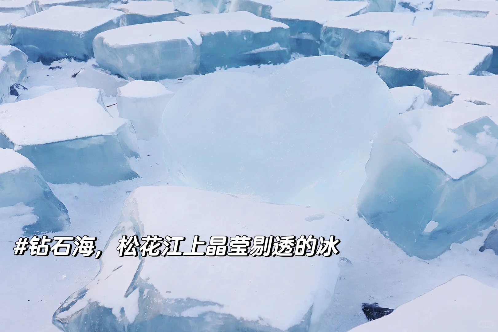 让我来看看各位老师寒假旅游都去了哪里？