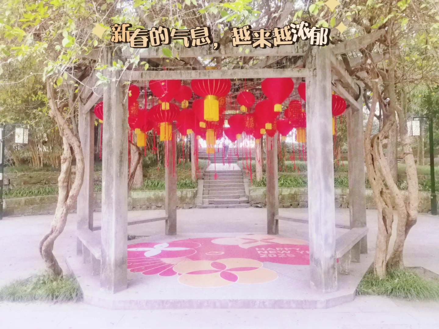 重庆｜鹅岭公园-超全旅游攻略🔥