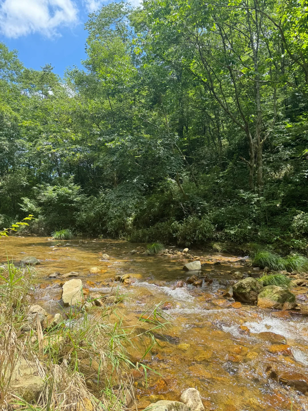 周末逃离武汉出去玩|30站合集来啦