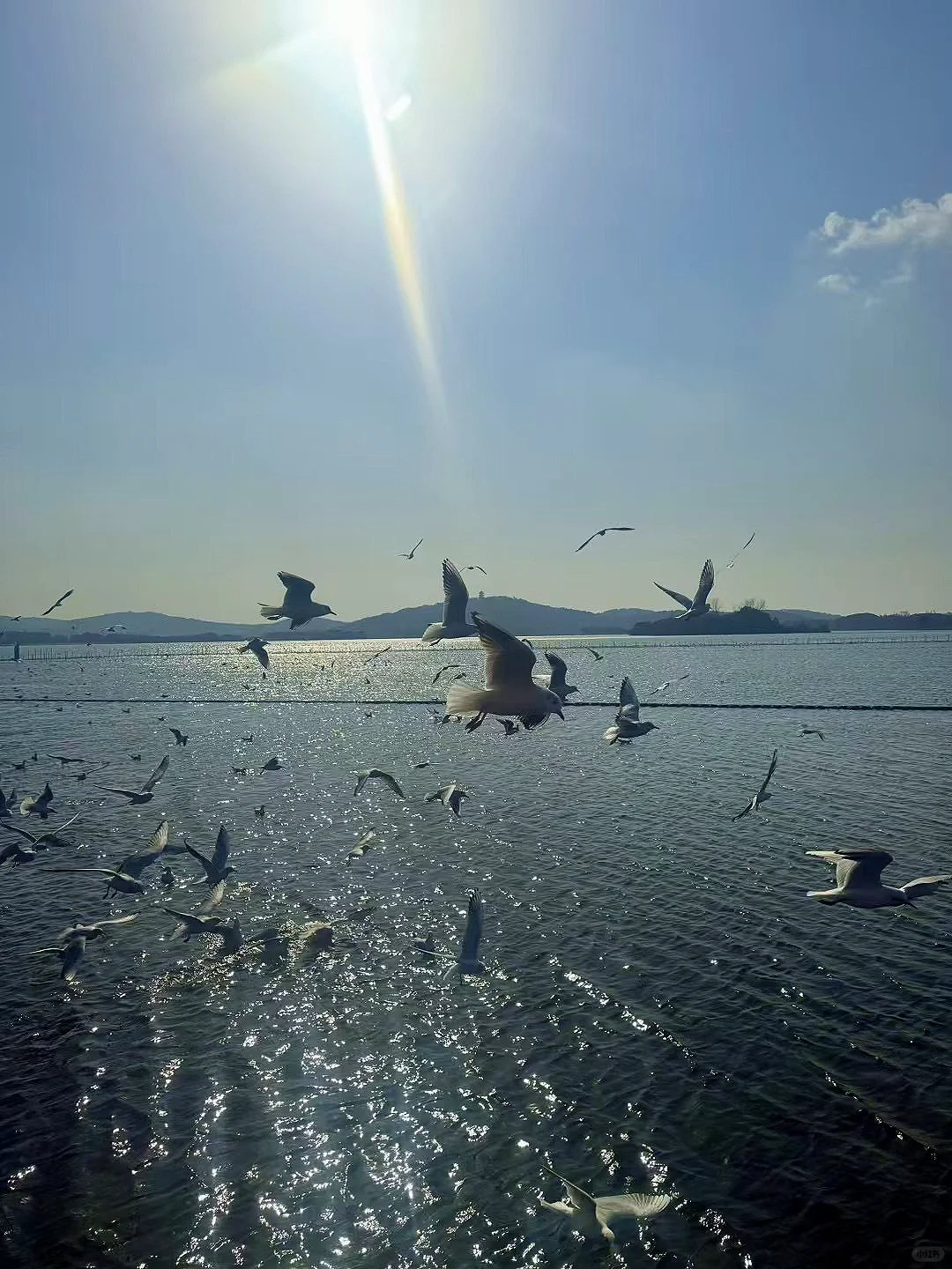 无锡旅游攻略📍为了迎接你，无锡化了全妆❤️