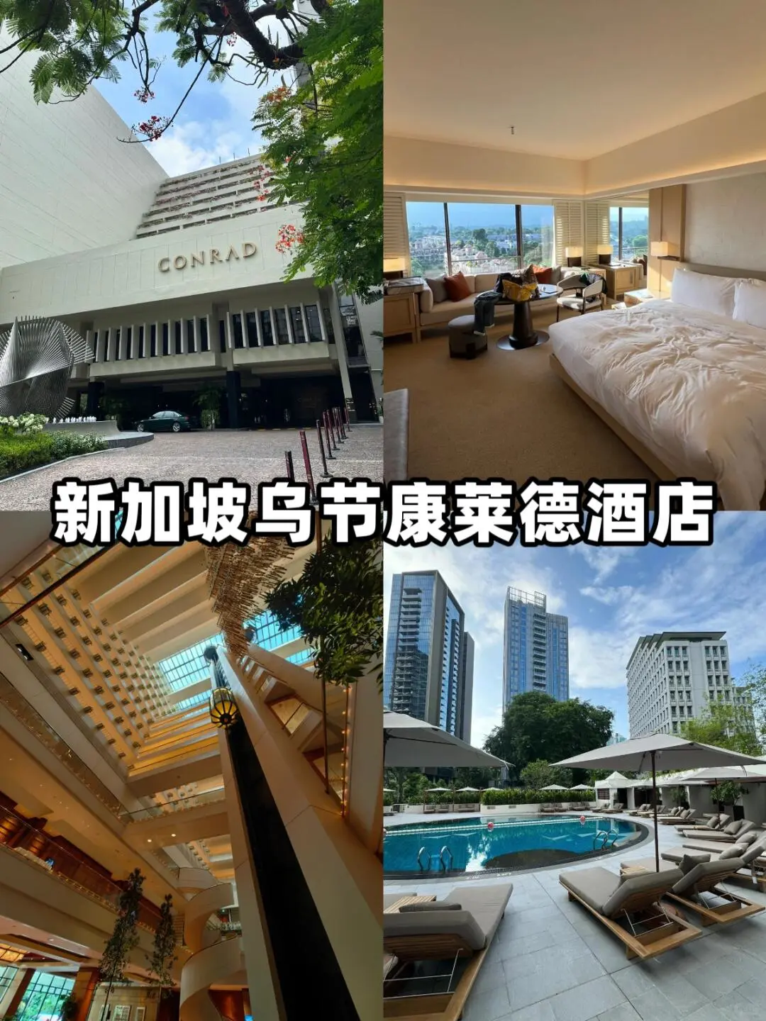 直接抄作业❗去了8次的✨新加坡旅游攻略