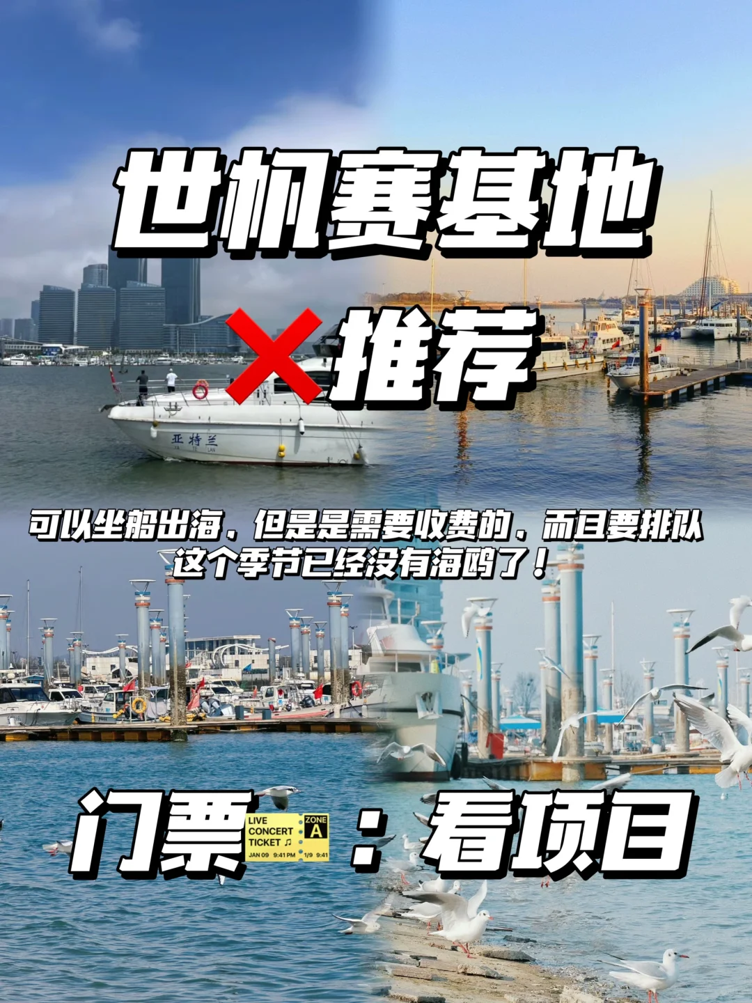 愿每个去日照的人都能看到…