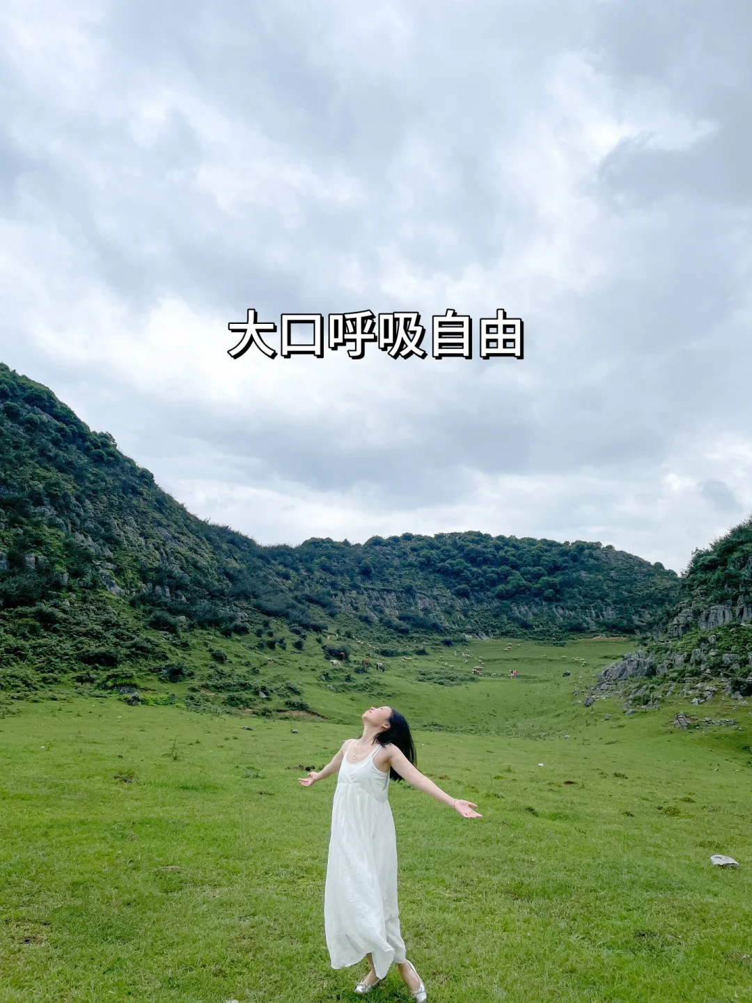 人为什么要旅行，这是我见过最棒的答案👏