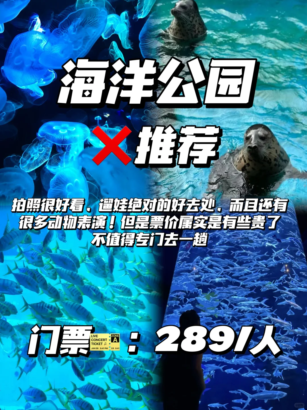 愿每个去日照的人都能看到…