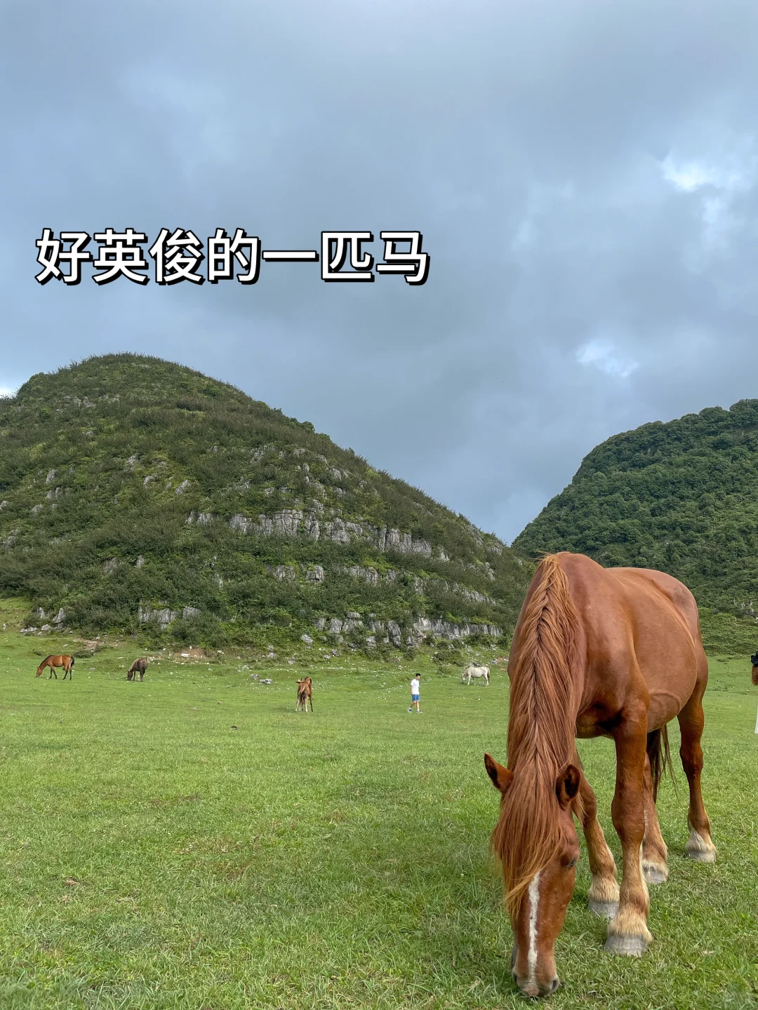 人为什么要旅行，这是我见过最棒的答案👏