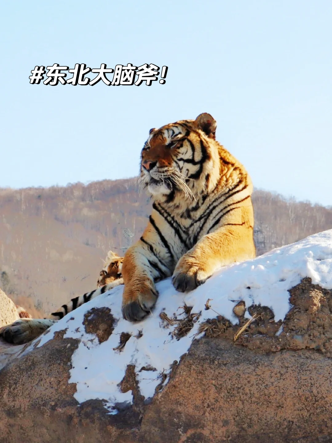 让我来看看各位老师寒假旅游都去了哪里？