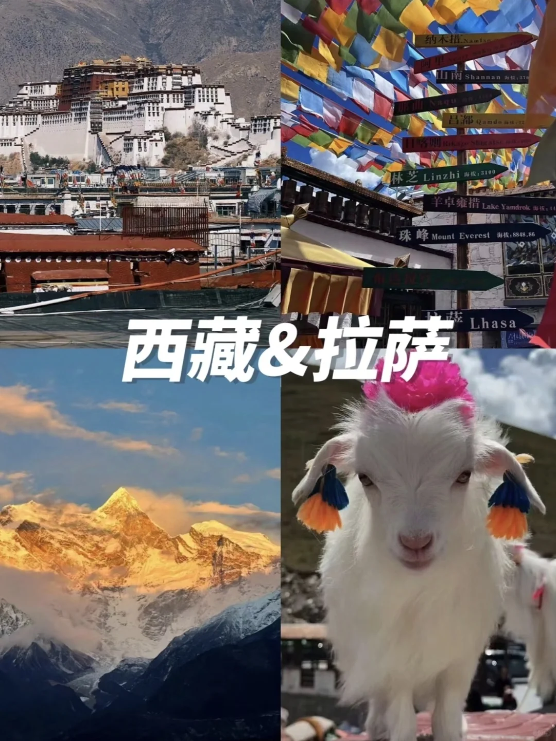 反季节旅行，适合穷游的十大城市