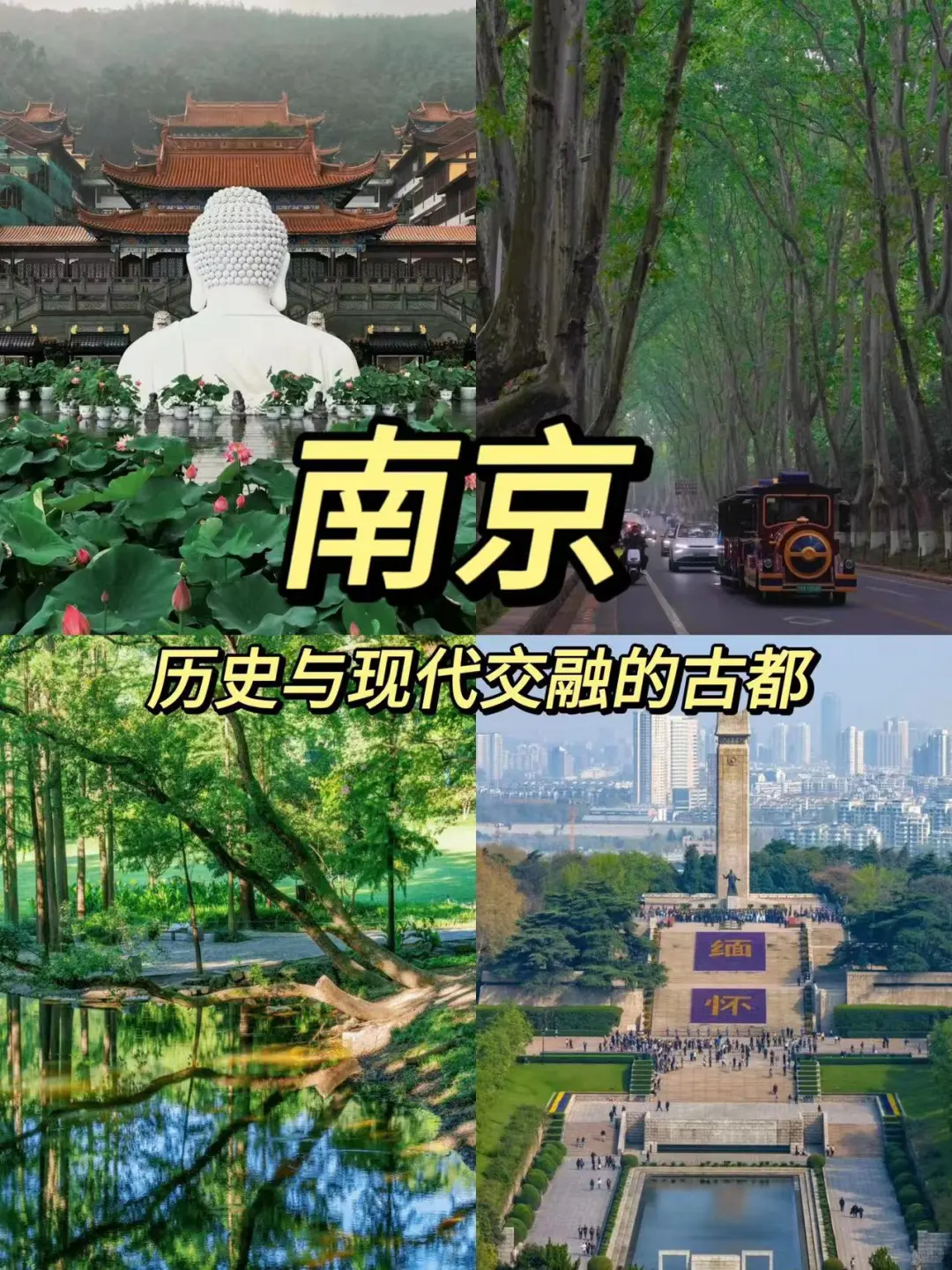 六个适合打工人短途旅行的城市❗码住❗