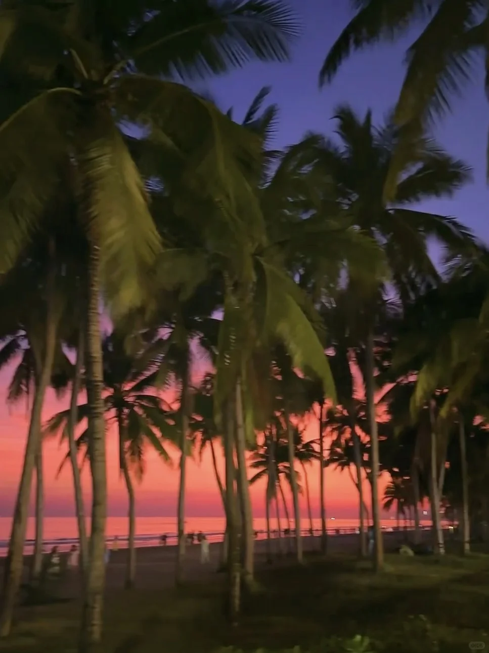 人生建议😭1-2🈷去三亚，不做攻略别来