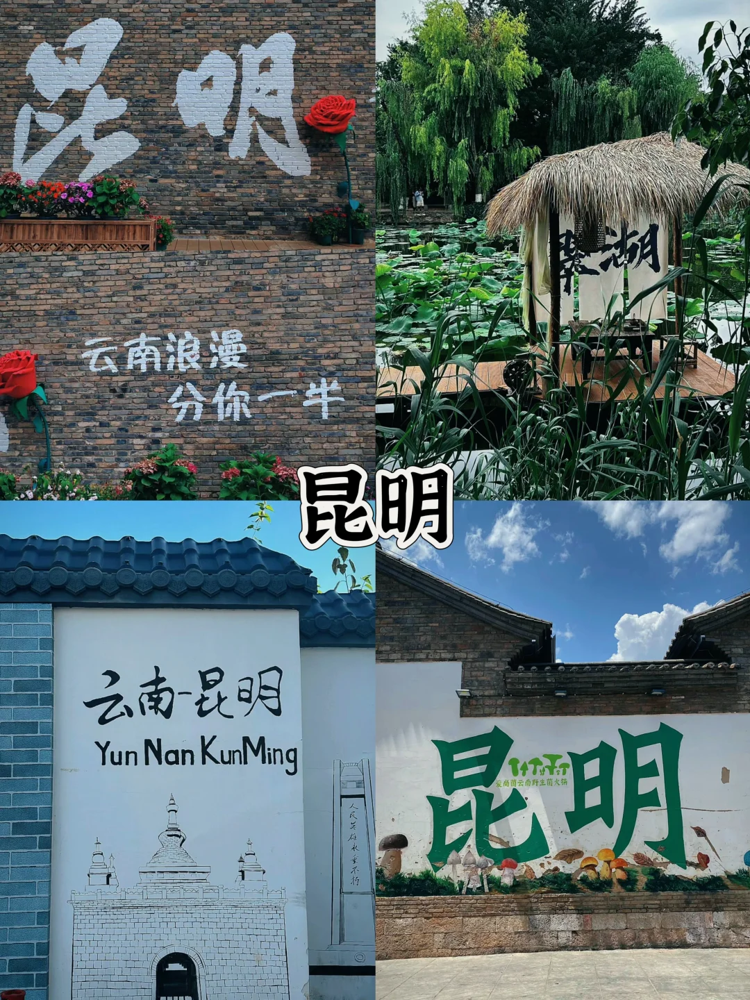 最适合年轻人去的六个南方城市✓√√